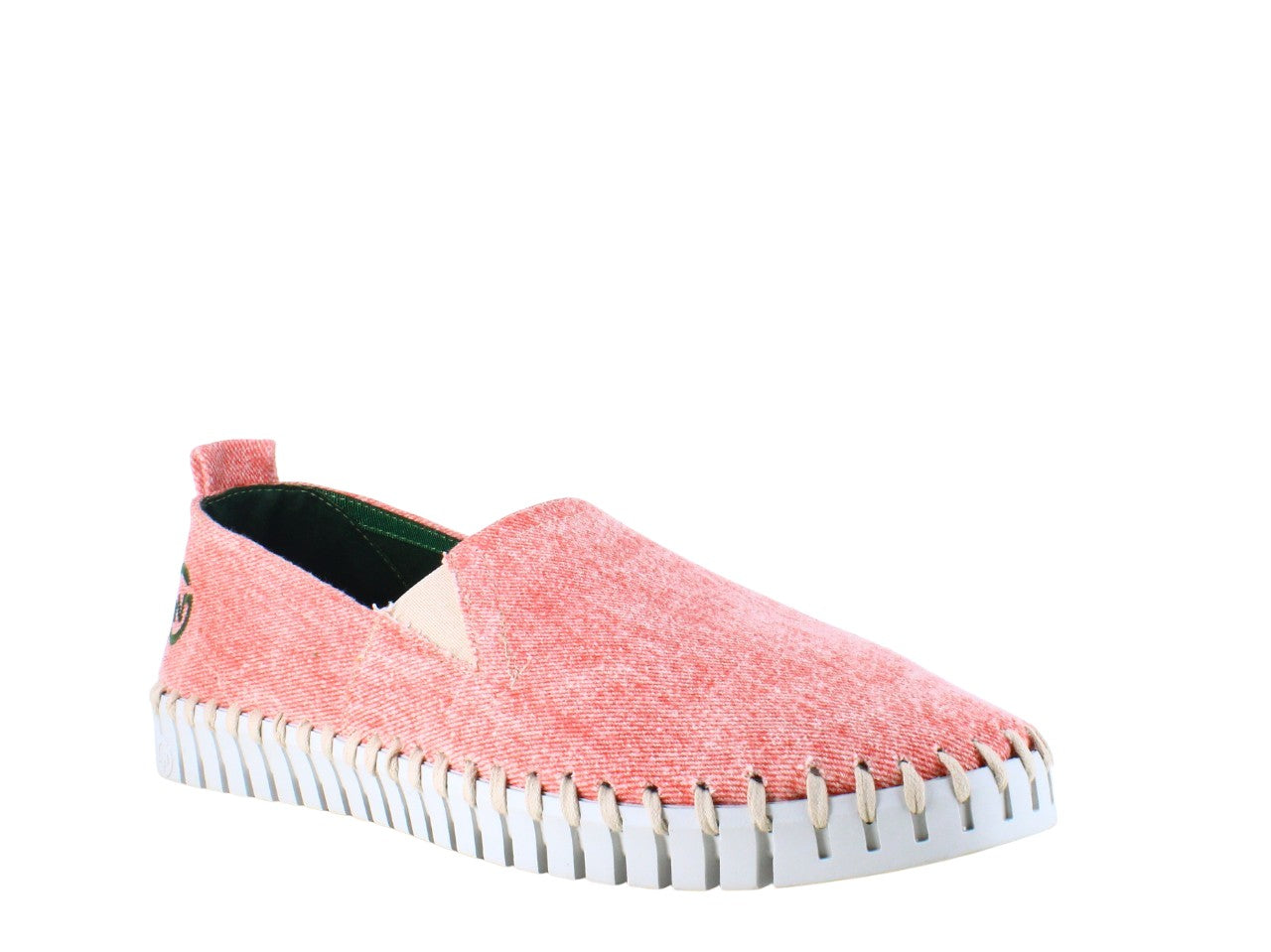 BONES CANVAS ROJO