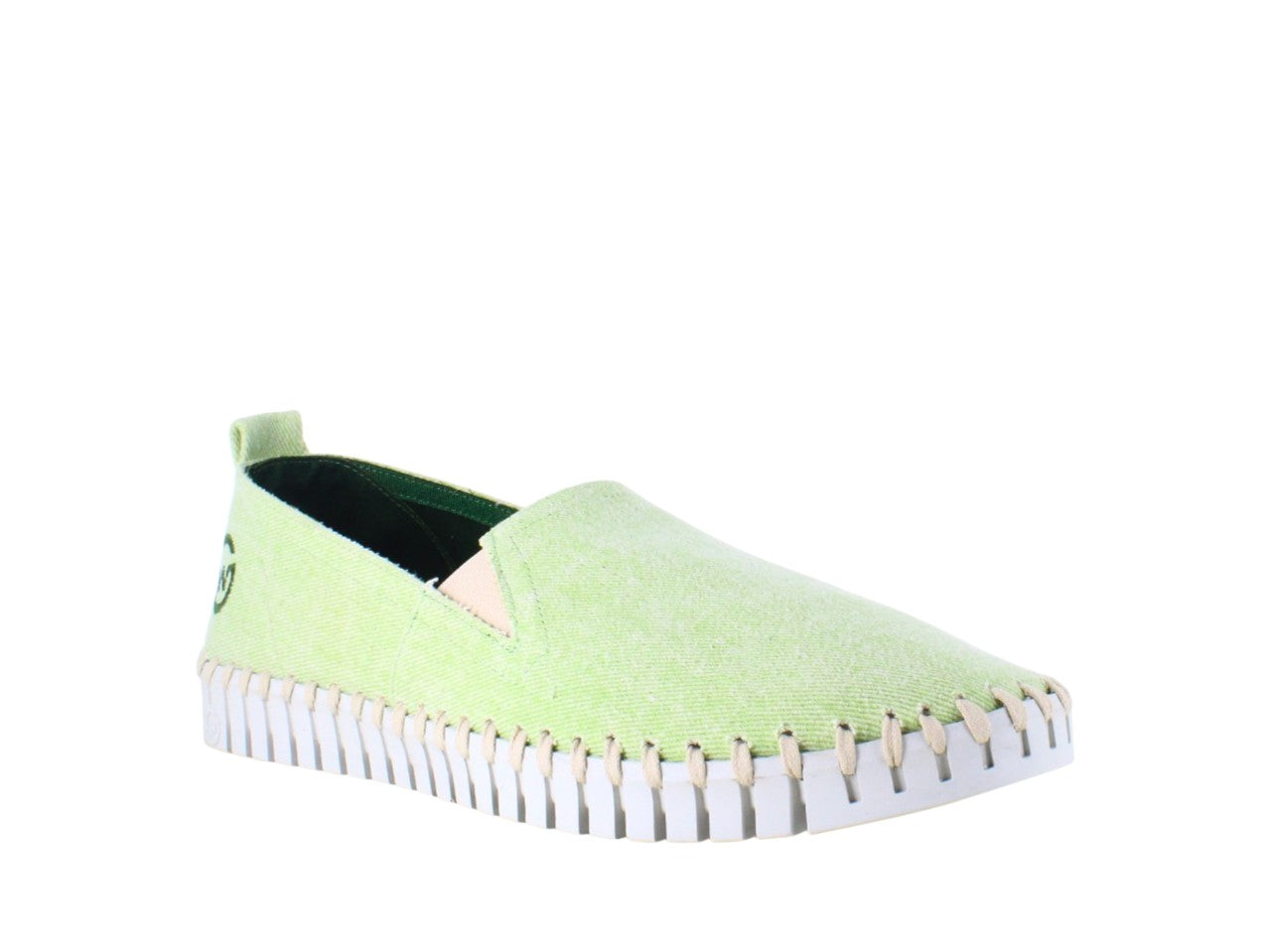 BONES CANVAS PISTACHO