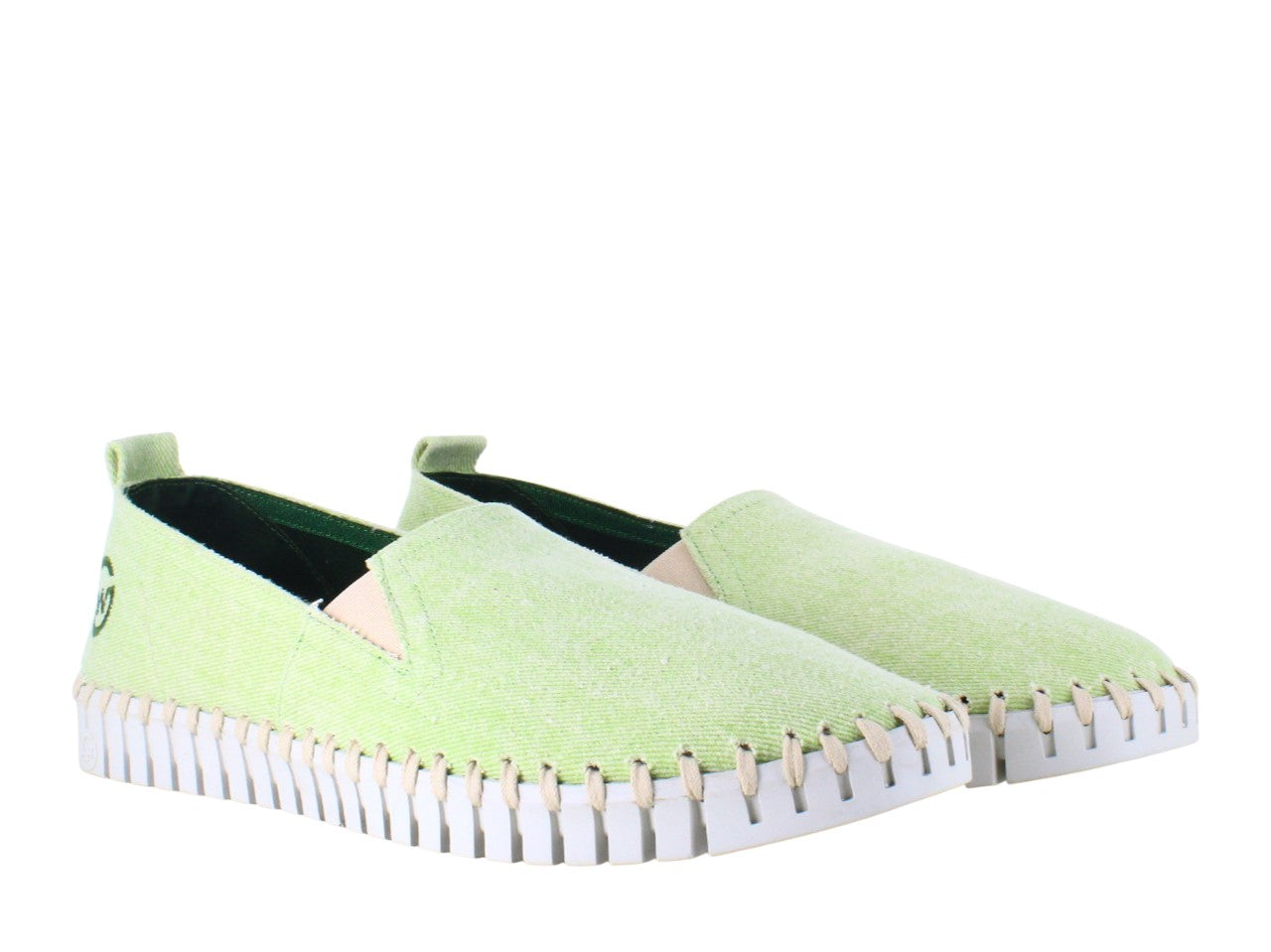 BONES CANVAS PISTACHO